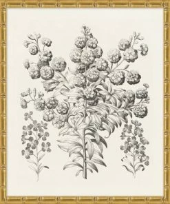 WENDOV- Bessler Study In Neutral 7 Floral