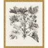 WENDOV- Bessler Study In Neutral 8 Floral 2 WENDOV- Bessler Study In Neutral 8 Floral