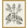 WENDOV- Floral Bessler Study In Neutral 10 2 WENDOV- Floral Bessler Study In Neutral 10