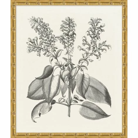 WENDOV- Floral Bessler Study In Neutral 10 3 WENDOV- Floral Bessler Study In Neutral 10