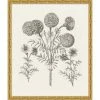 WENDOV- Floral Bessler Study In Neutral 11 1 WENDOV- Floral Bessler Study In Neutral 11