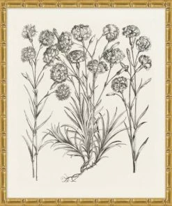 WENDOV- Bessler Study In Neutral 13