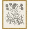 WENDOV- Floral Bessler Study In Neutral 14