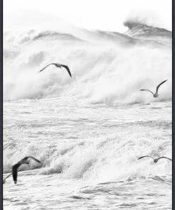 WENDOV- Rough Waves 1