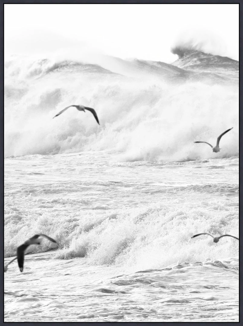 WENDOV- Rough Waves 1 3 WENDOV- Rough Waves 1