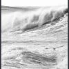 WENDOV- Rough Waves 2 Coastal 2 WENDOV- Rough Waves 2 Coastal
