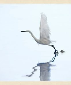 WENDOV- Coastal Morning 1