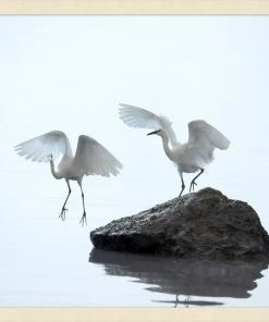 WENDOV- Coastal Morning 2