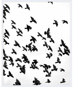 WENDOV- Animals Loft 2