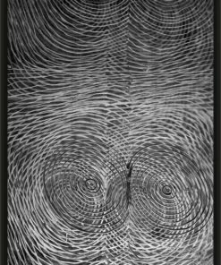 WENDOV- Ringo Photography