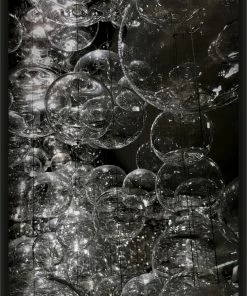 WENDOV- Photography Burp!