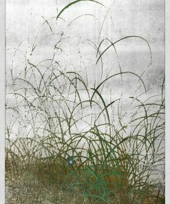 WENDOV- Quail Among Grasses 1