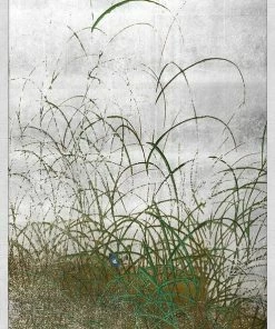 WENDOV- Landscape Quail Among Grasses 4