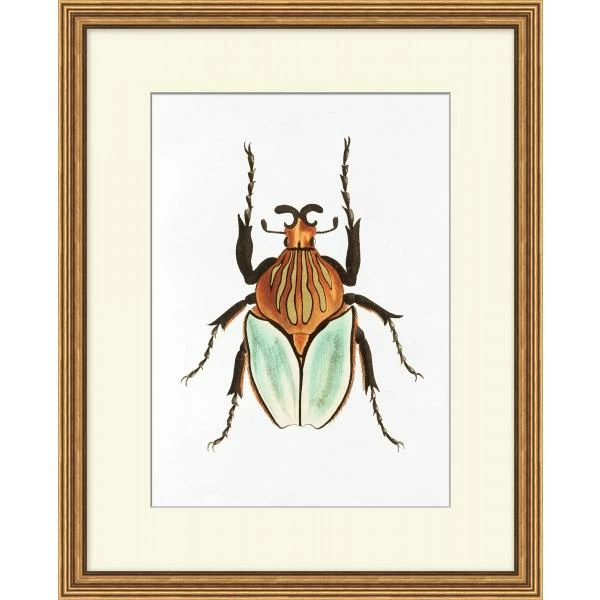 WENDOV- Gilded Beetle 3 Nature 3 WENDOV- Gilded Beetle 3 Nature