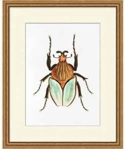 WENDOV- Gilded Beetle 2 Nature