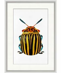 WENDOV- Nature Rainbow Insect 4