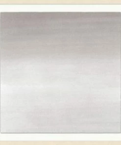 WENDOV- Ombre Neutral 2