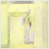 WENDOV- Primrose Illusions 1 2 WENDOV- Primrose Illusions 1