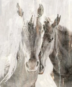 WENDOV- Horse Essence 1 Photography