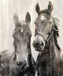 WENDOV- Horse Essence 2