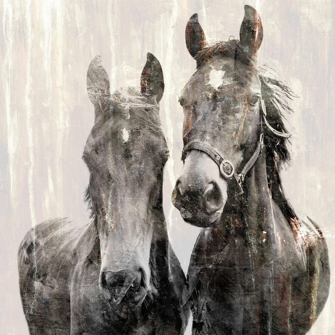 WENDOV- Horse Essence 2 3 WENDOV- Horse Essence 2