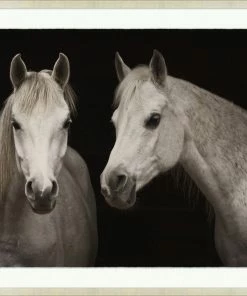 WENDOV- Stable Shadows