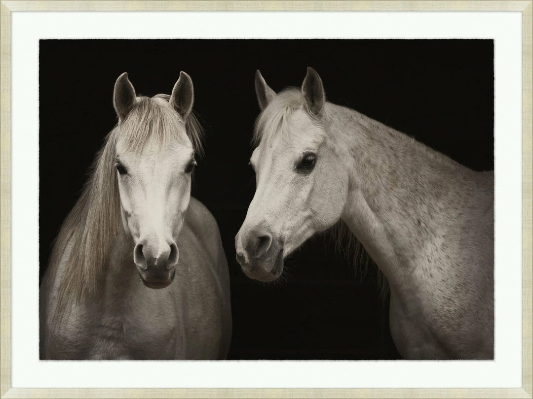 WENDOV- Stable Shadows 3 WENDOV- Stable Shadows