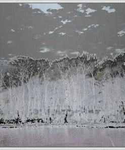 WENDOV- Mashomack In Metallic Photography