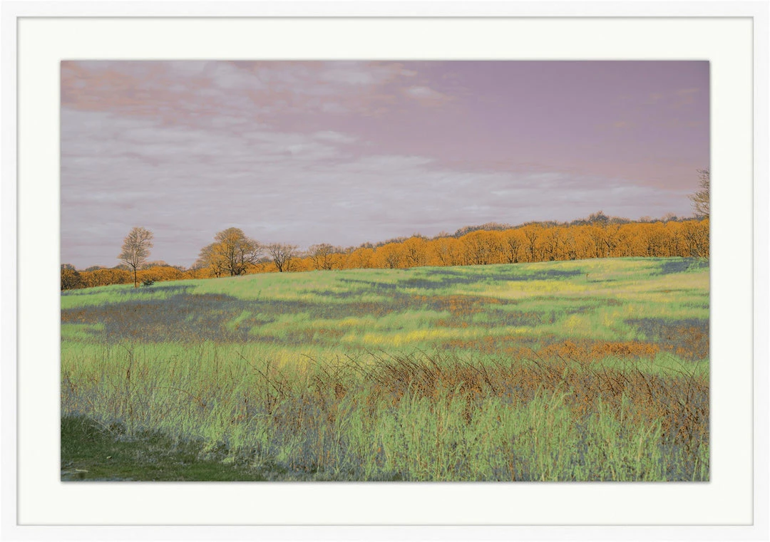 WENDOV- Fields Of Color 1 Photography 3 WENDOV- Fields Of Color 1 Photography