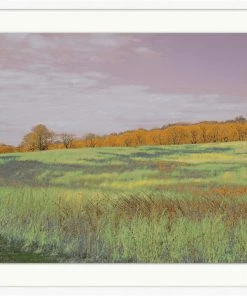 WENDOV- Photography Fields Of Color 4