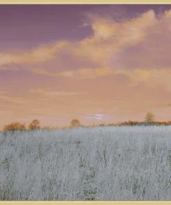 WENDOV- Photography Beneath Setting Skies